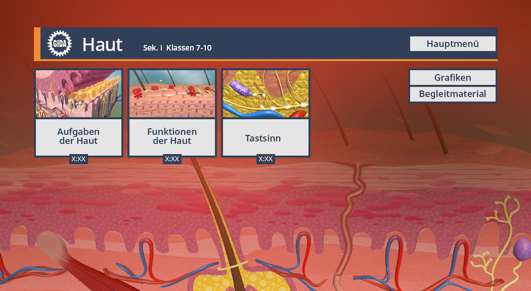 Menü des Films mit den Themen: Aufbau der Haut, Funktionen der Haut und Tastsinn.