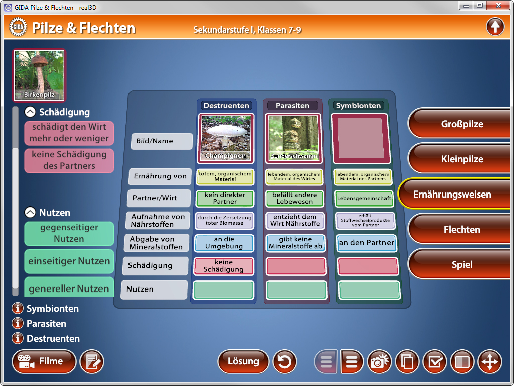 Infografik über Pilze und Flechten, zeigt verschiedene Arten von Beziehungen: Schädigungen, Nutzen, Symbiosen und Ernährungsweisen.