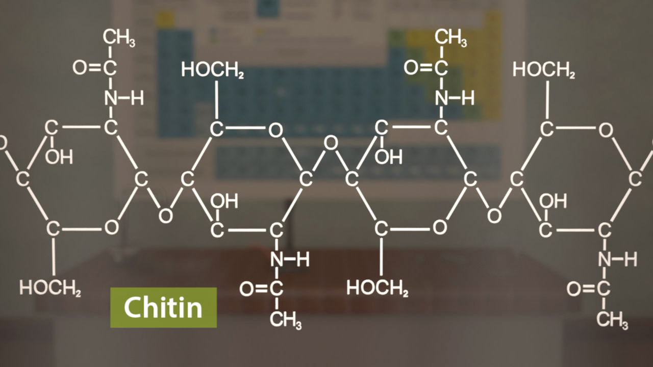 Chemische Struktur von Chitin mit chemischen Formeln und Verbindungen.