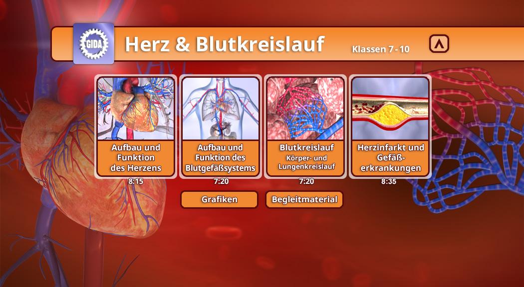 Infografik über das Herz und den Blutkreislauf mit vier Themen: Herzaufbau, Blutgefäße, Blutkreislauf und Herzinfarkt.