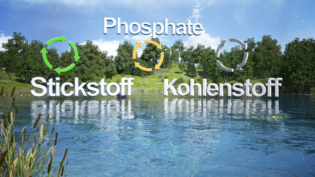 Darstellung von Phosphaten, Stickstoff und Kohlenstoff in einer natürlichen Umgebung mit Wasser und Bäumen.