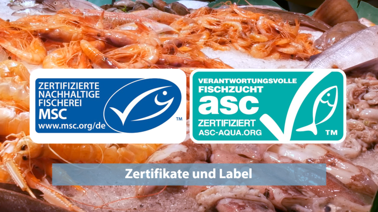 Zertifikate für nachhaltige Fischerei und verantwortungsvolle Fischzucht, MSC und ASC Logos auf einem Hintergrund von Meeresfrüchten.