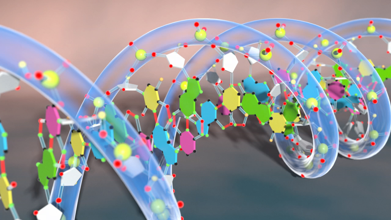 3D-Darstellung einer DNA-Doppelhelix mit bunten Molekülen und Atomen.