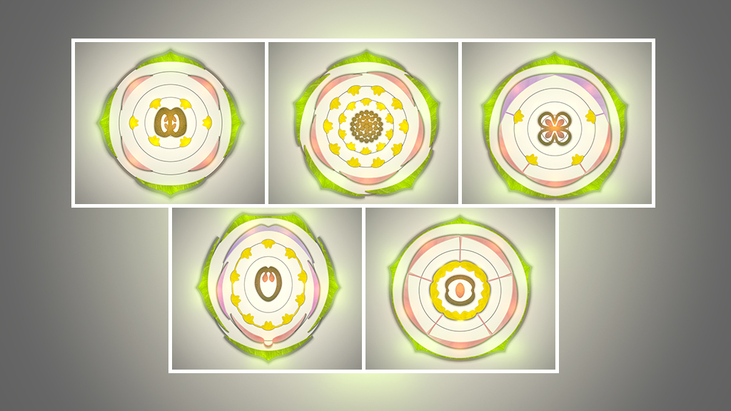 Fünf Blütendiagramme mit verschiedenen geometrischen Mustern und Farben auf einem grauen Hintergrund.