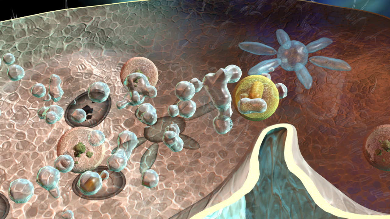 Grafik einer Zelle mit verschiedenen Organellen und Molekülen, die in einer biologischen Umgebung interagieren.