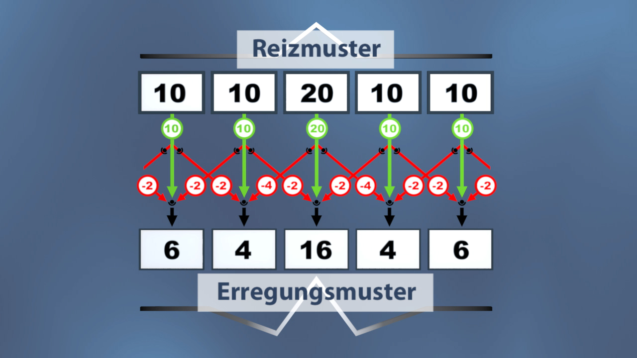 Diagramm zeigt Reizmuster und Erregungsmuster mit Zahlen und Pfeilen zur Darstellung von Beziehungen.