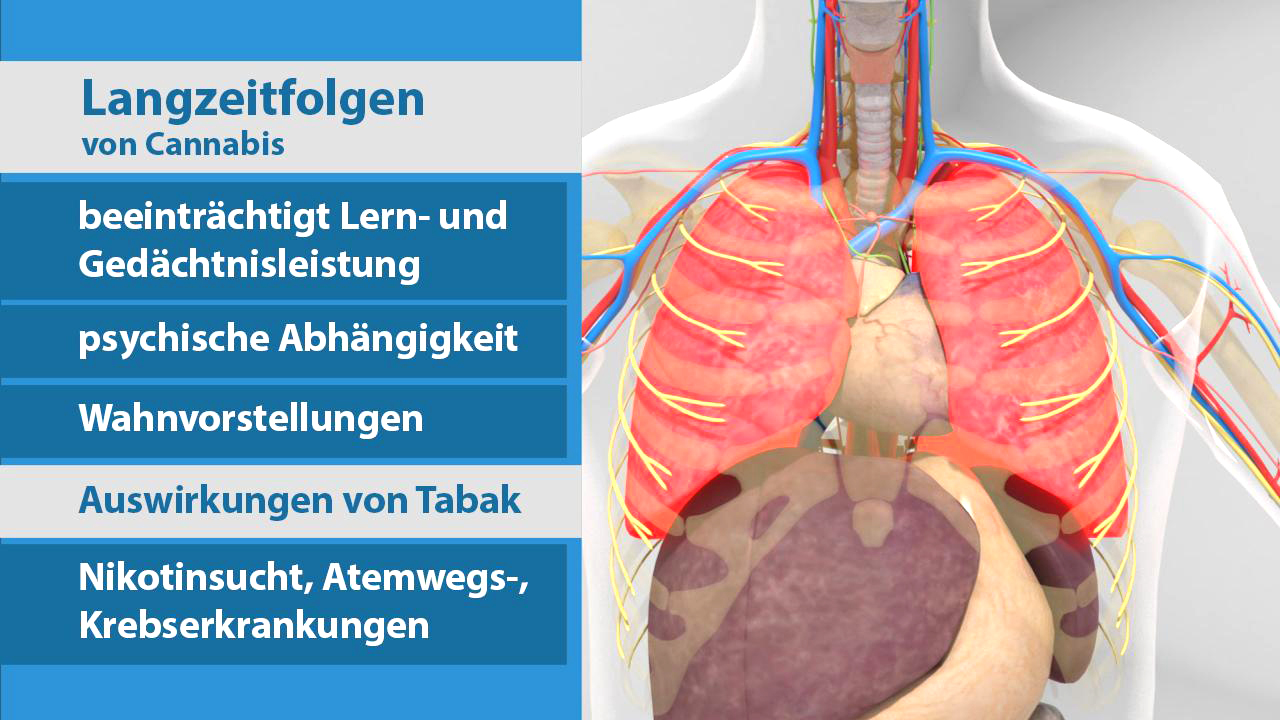 Infografik zu den Langzeitfolgen von Cannabis, einschließlich Lern- und Gedächtnisbeeinträchtigung, psychischer Abhängigkeit und Auswirkungen von Tabak.