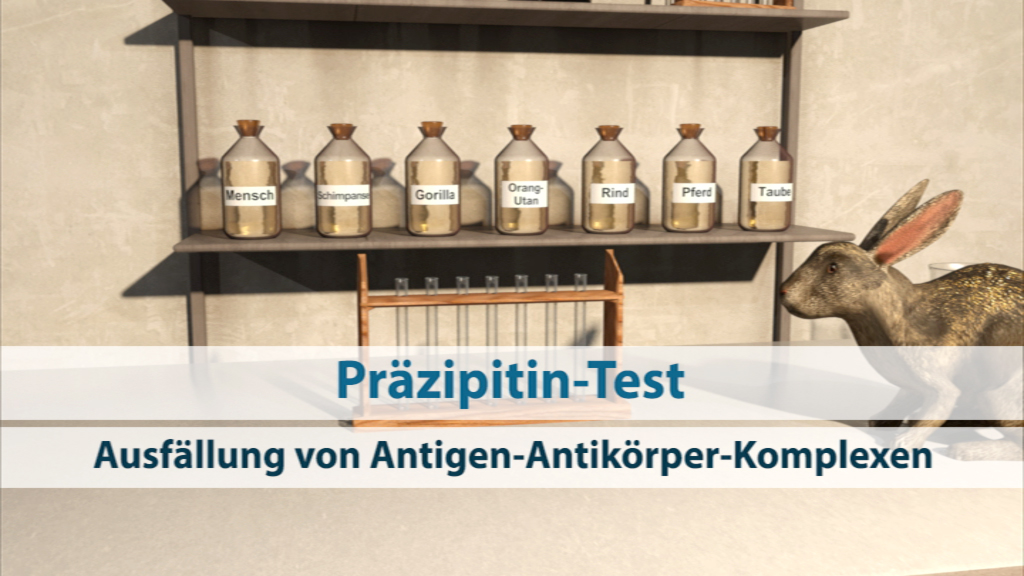 Ein Regal mit Flaschen, die verschiedene Antigenproben beschriften, und ein Kaninchen im Vordergrund.