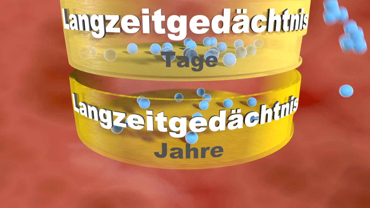 Grafik, die die Konzepte des Langzeitgedächtnisses über Tage und Jahre darstellt, mit blauen Kugeln und gelben Bändern.