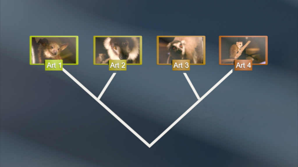 Diagramm mit vier Tierarten, die durch Linien verbunden sind, um ihre Beziehungen darzustellen.