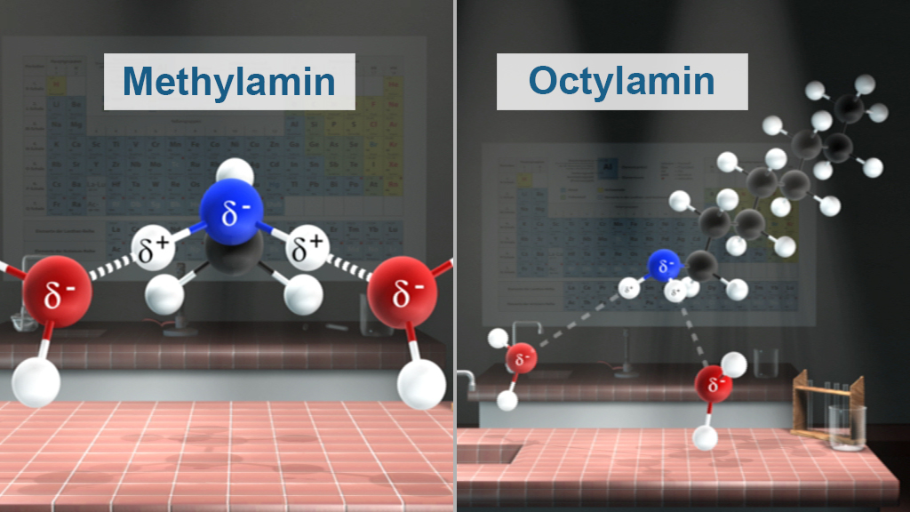 Molekülstrukturen von Methylamin (links) und Octylamin (rechts) mit chemischen Bindungen und Atomen in verschiedenen Farben.