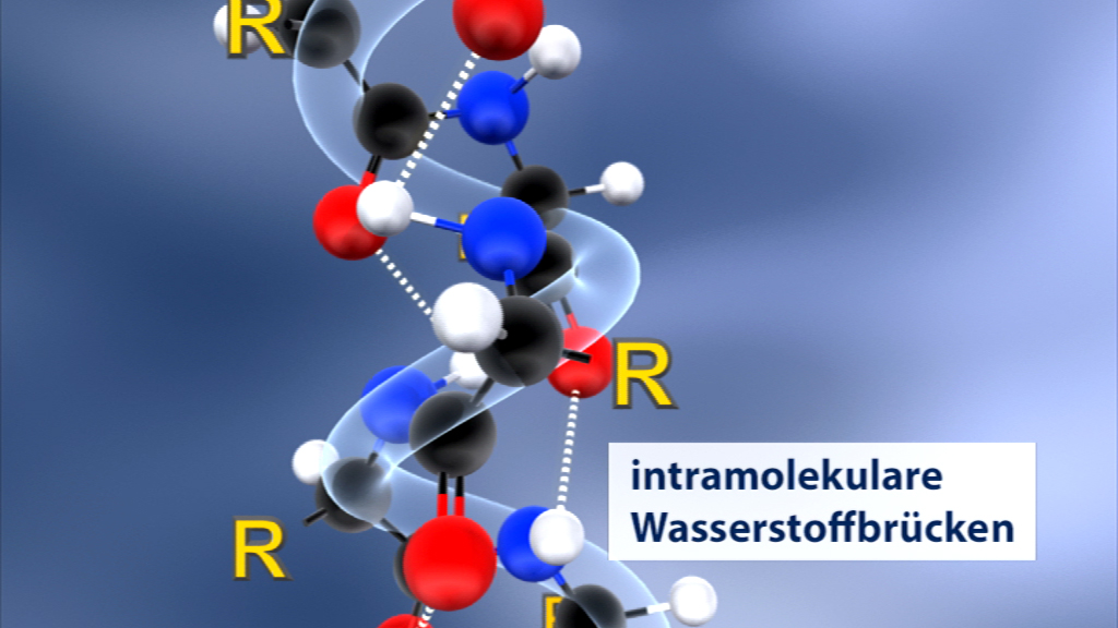 Darstellung einer DNA-Doppelhelix mit intramolekularen Wasserstoffbrücken, farblich kodierte Atome.