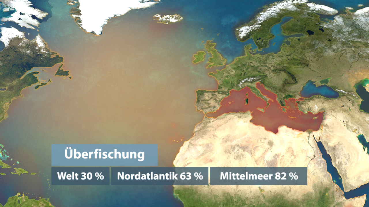 Karte zeigt Überfischung: Welt 30 %, Nordatlantik 63 %, Mittelmeer 82 %.