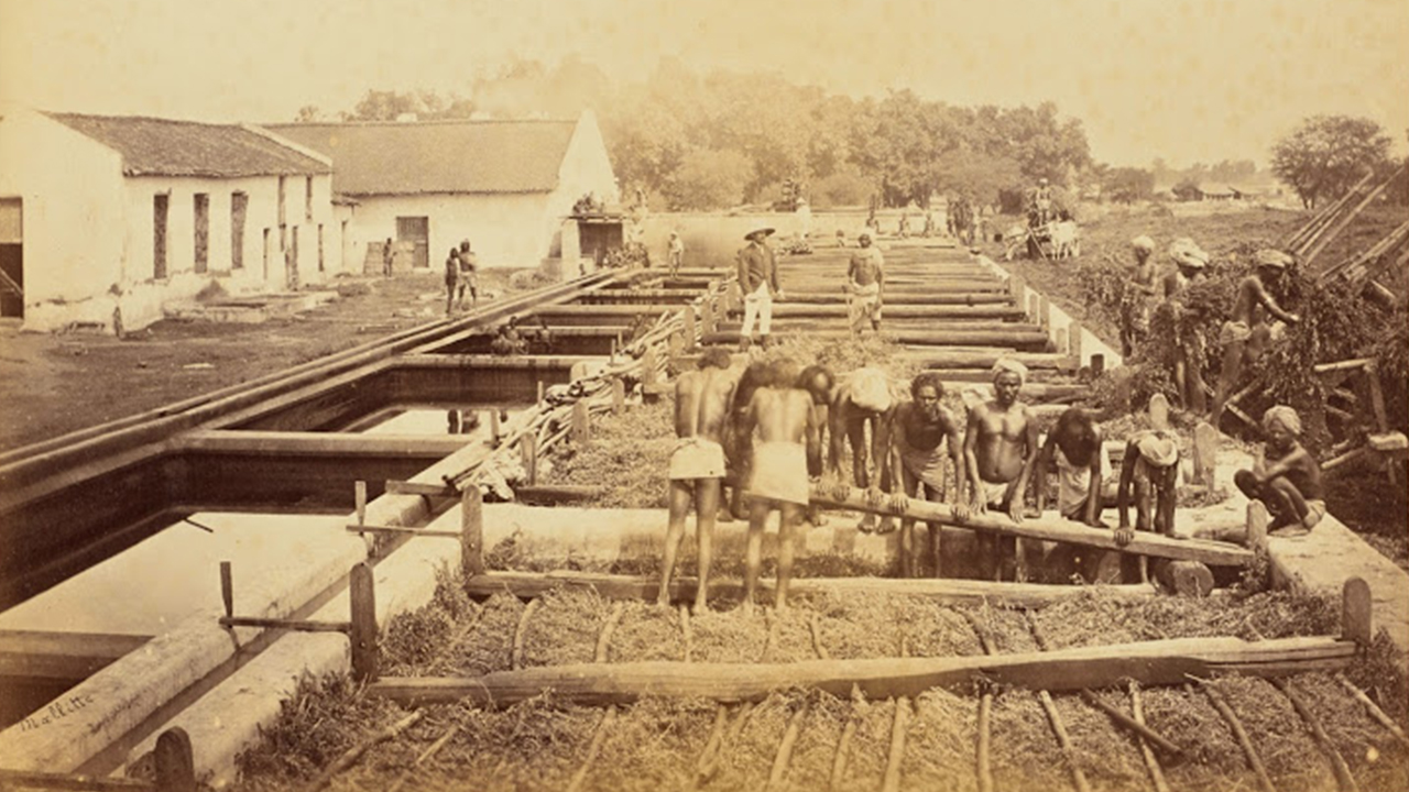 Historisches Foto von Arbeitern in einer Zuckerrohrfabrik, die an der Verarbeitung von Zuckerrohr beteiligt sind.