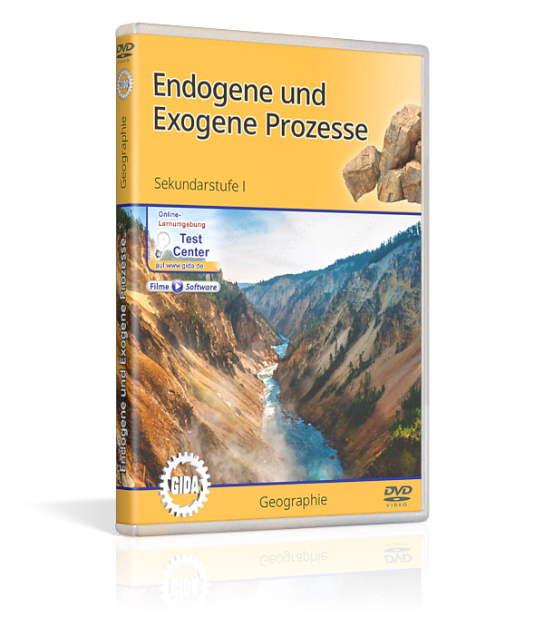 DVD-Cover des Films "Endogene und Exogene Prozesse".