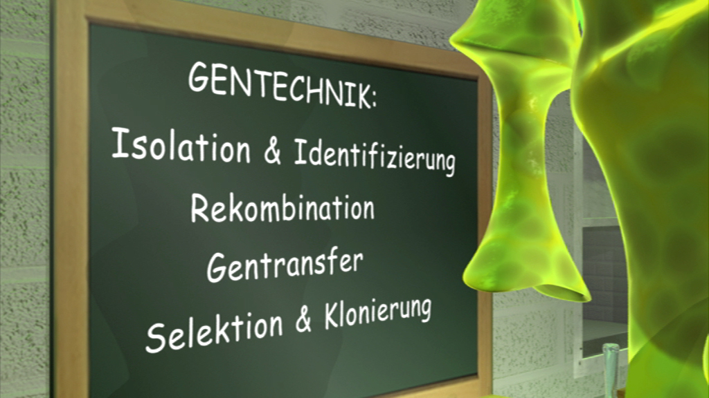 Tafel mit den Begriffen der Gentechnik: Isolation & Identifizierung, Rekombination, Gentransfer, Selektion & Klonierung.