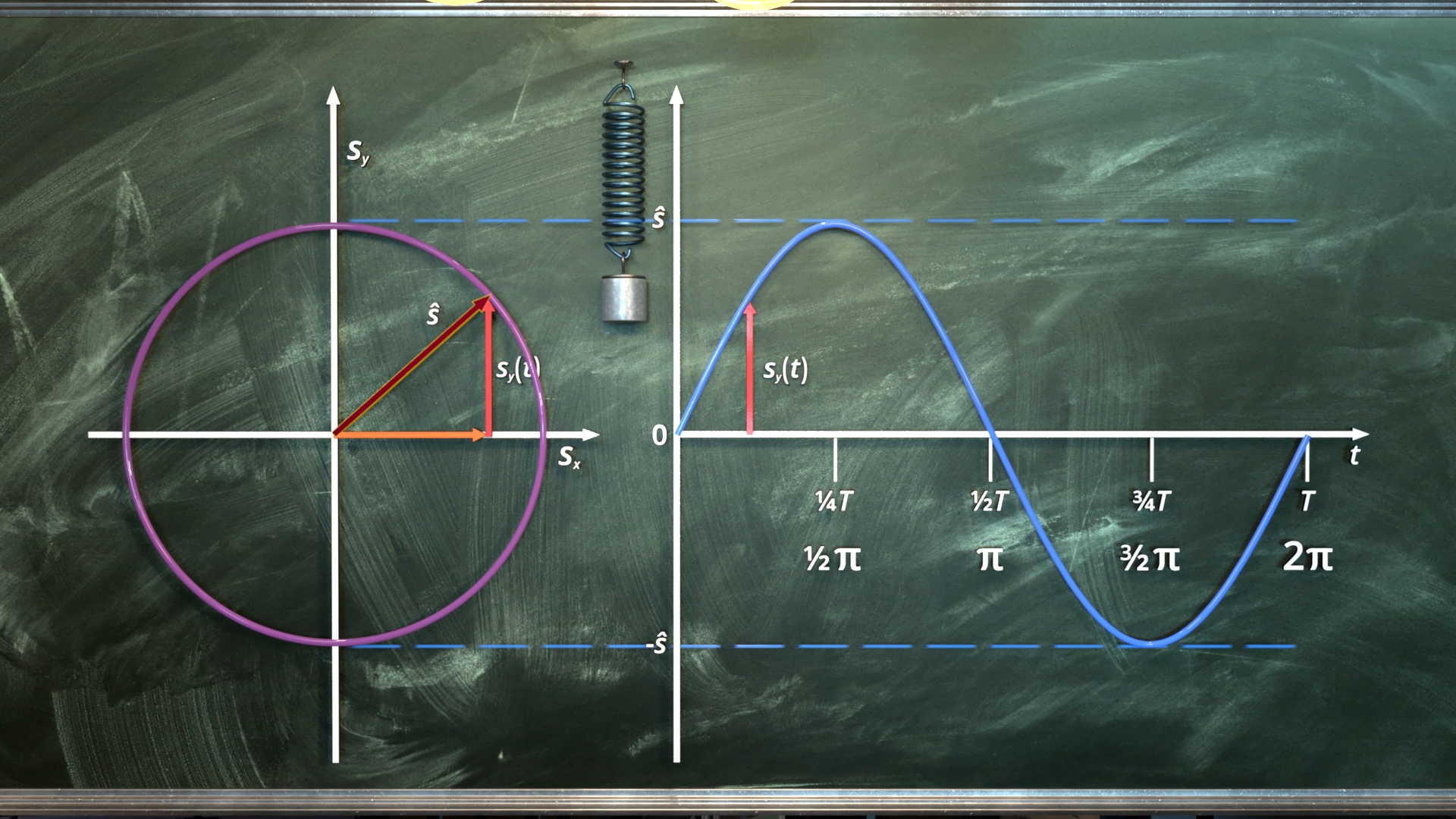Diagramm an einer Tafel zeigt eine Kreisbewegung mit Vektorpfeilen und eine Sinuskurve mit markierten Zeitpunkten und Achsenbeschriftungen