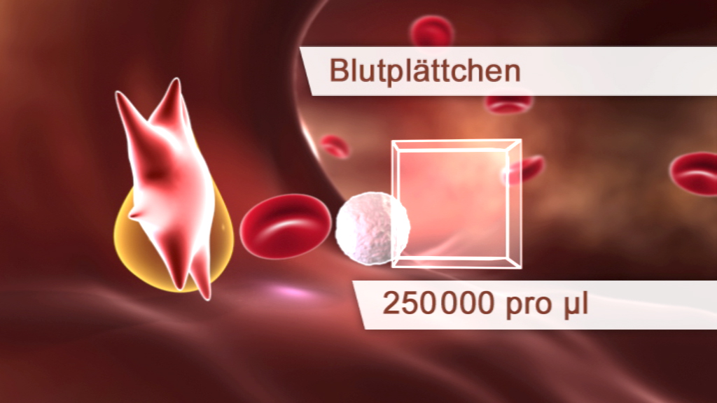 Grafik, die Blutplättchen und rote Blutkörperchen im Blut zeigt, mit der Angabe '250000 pro µl'.