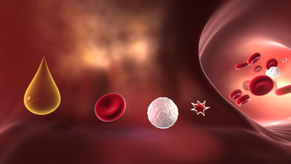 Grafik, die verschiedene Blutzellen zeigt: eine gelbe Tropfenform, eine rote Blutkörperchen, eine weiße Blutkörperchen und eine Explosion.