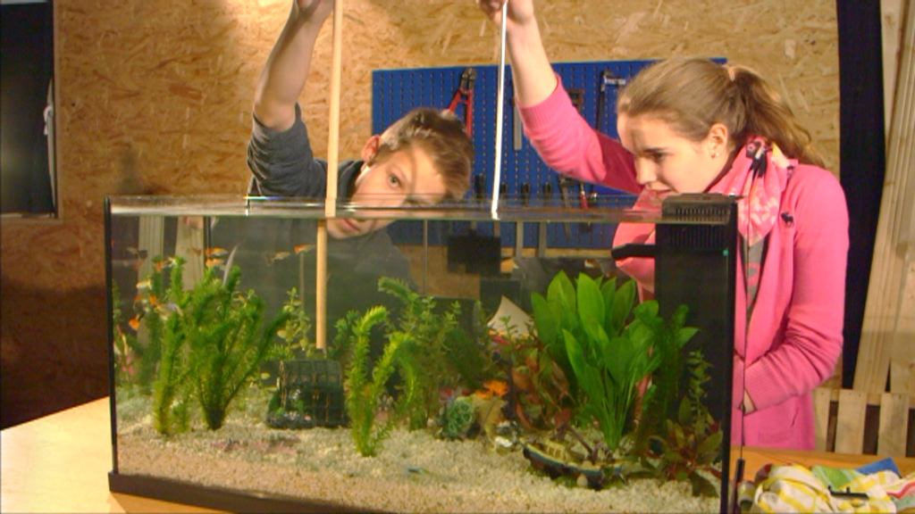 Zwei Kinder, ein Junge und ein Mädchen, stehen vor einem Aquarium und messen mit einem langen Werkzeug die Wassertiefe.
