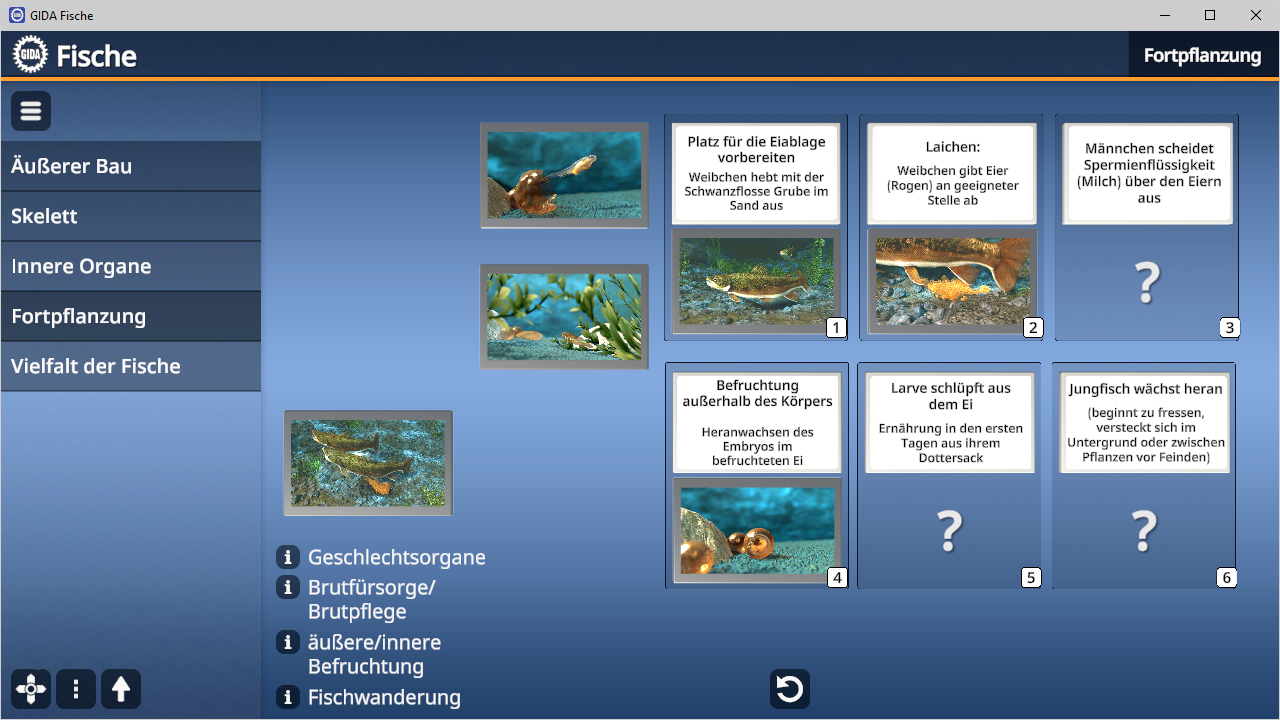 Interaktive Benutzeroberfläche zu Fischen mit verschiedenen Themen wie Fortpflanzung und Skelett.