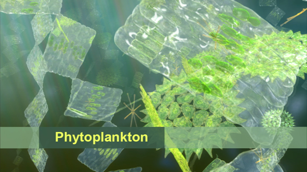 Darstellung von Phytoplankton in verschiedenen Formen und Texturen im Wasser.