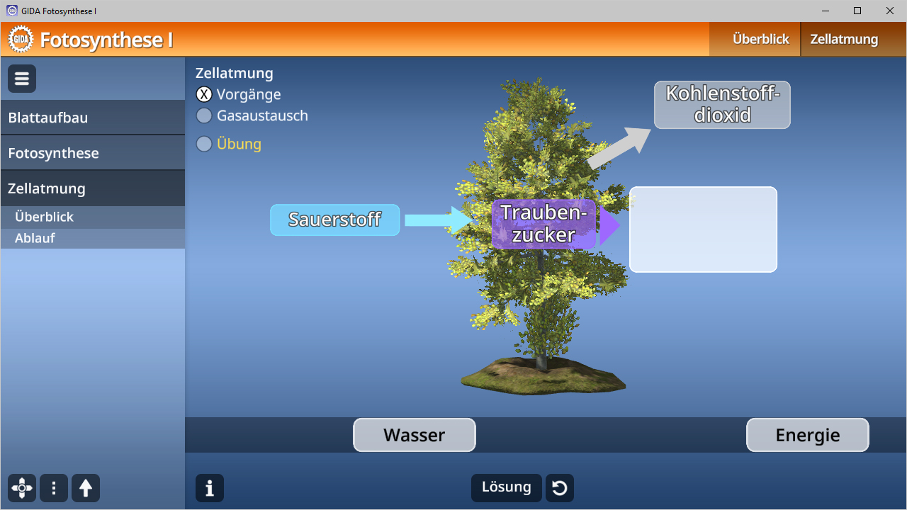 3D-Darstellung eines Baumes mit Beschriftungen zu den Prozessen der Fotosynthese, einschließlich Sauerstoff, Traubenzucker, Kohlenstoffdioxid, Wasser und Energie.