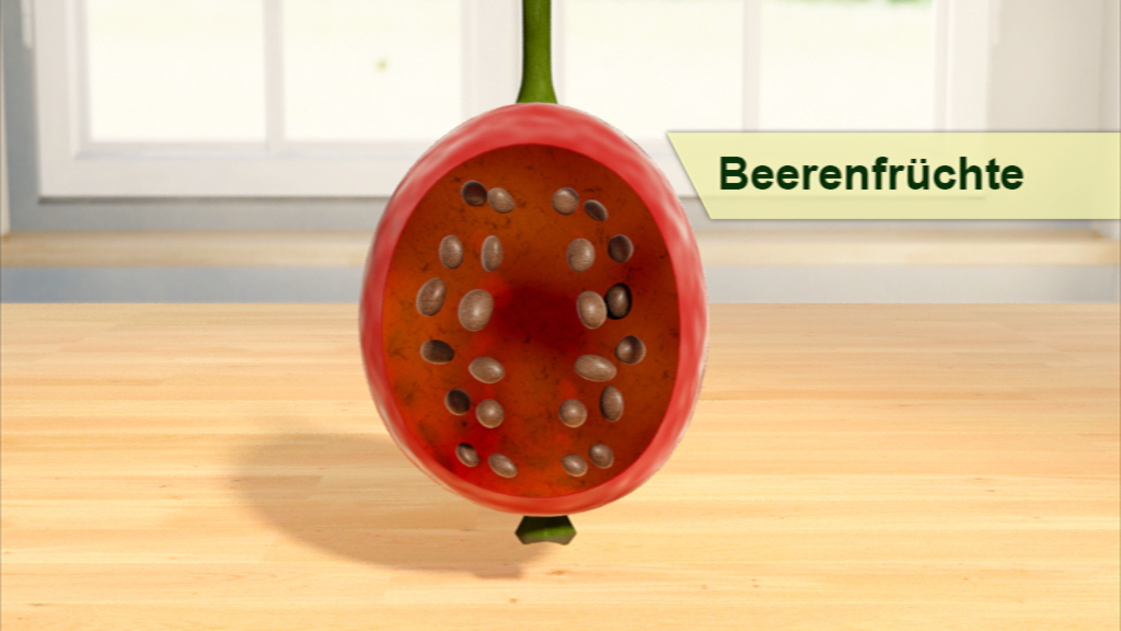 Eine aufgeschnittene Wassermelone mit sichtbaren Kernen, auf einem Tisch in einem hellen Raum.