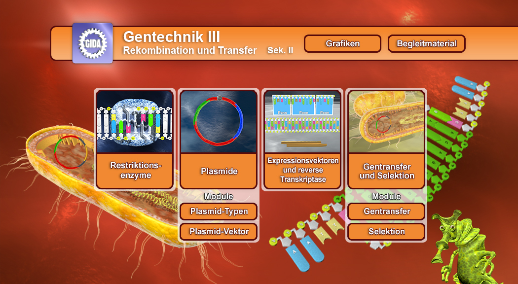 Menü des Films mit den Themen: Restriktionsenzyme, Plasmide, Expressions und Transkrptase, Gentransfer und Selektion.