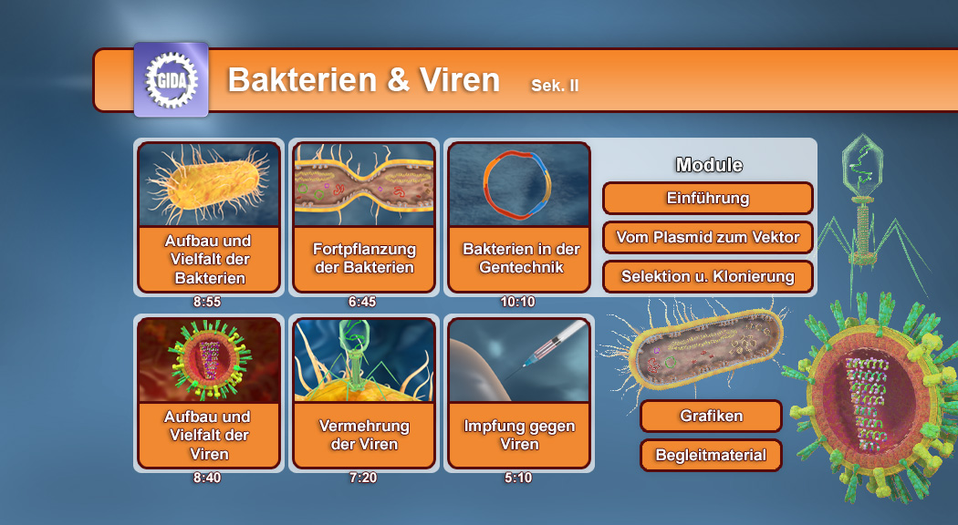 Infografik über Bakterien und Viren mit Modulen zu Aufbau, Fortpflanzung, Genetik und Impfung.