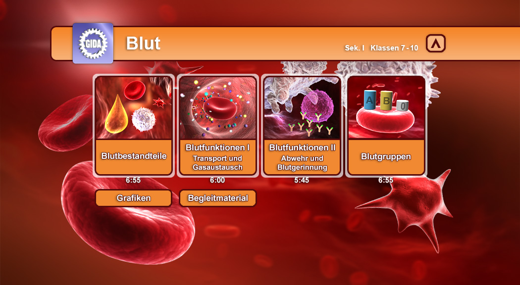 Infografik über Blut mit vier Themen: Blutbestandteile, Blutfunktionen I, Blutfunktionen II und Blutgruppen.