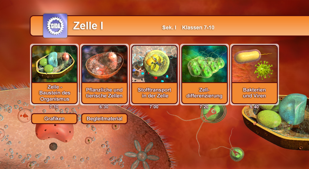 Infografik über Zellen mit verschiedenen Themen: Zellstruktur, pflanzliche und tierische Zellen, Stofftransport, Zellendifferenzierung, Bakterien und Viren.