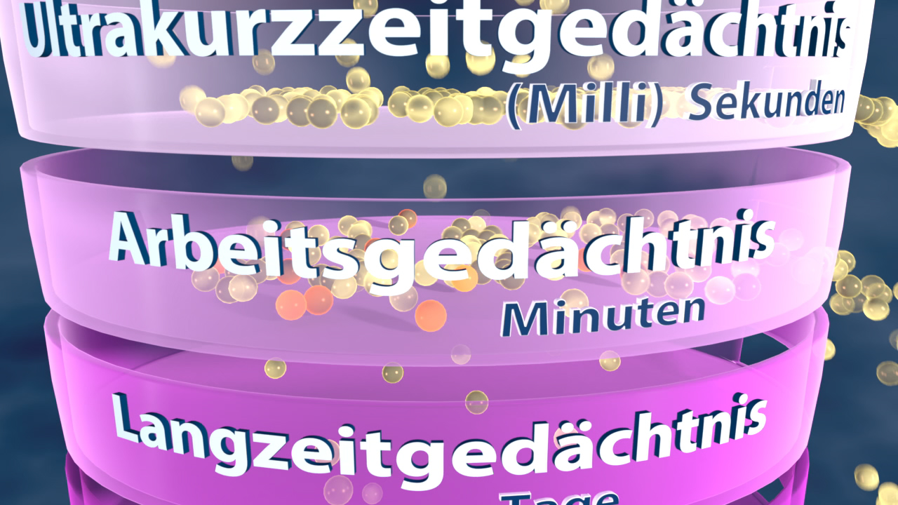 Diagramm, das die verschiedenen Gedächtnistypen zeigt: Ultrakurzzeitgedächtnis (Millisekunden), Arbeitsgedächtnis (Minuten) und Langzeitgedächtnis (Tage).