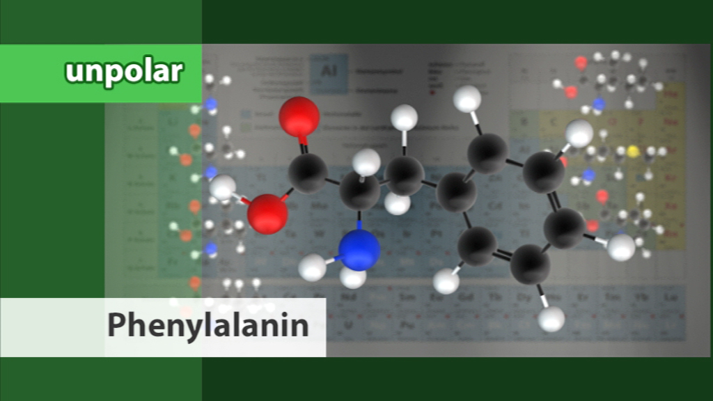 Molekülstruktur von Phenylalanin, dargestellt mit verschiedenen Farben für Atome, vor einem wissenschaftlichen Hintergrund.
