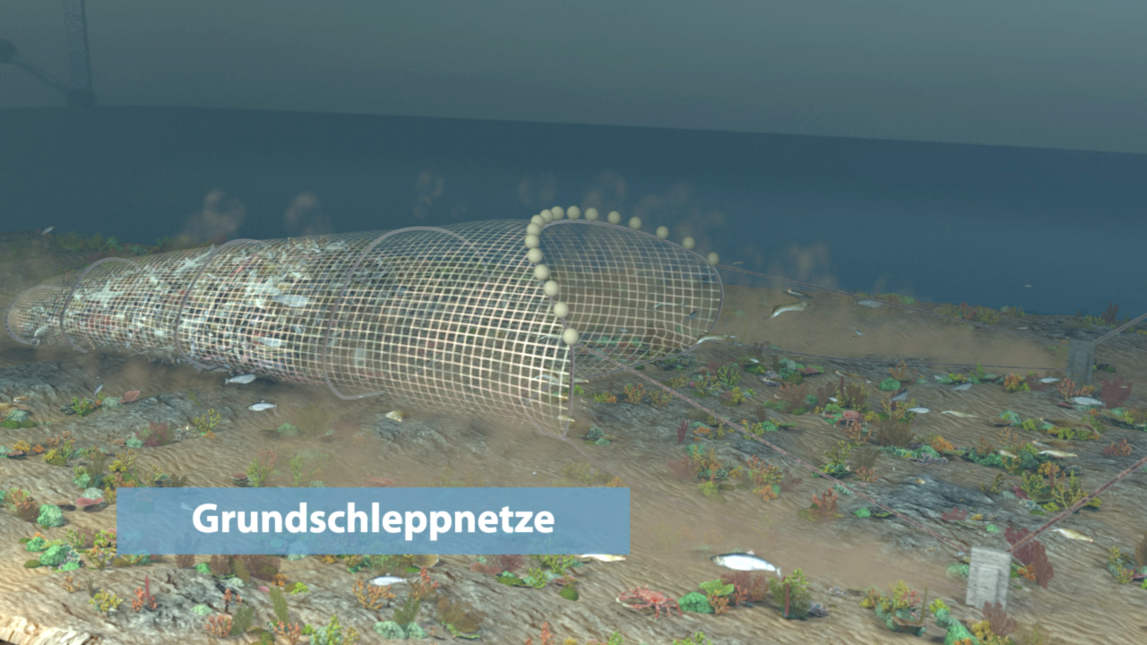Visualisierung eines Grundschleppnetzes auf dem Meeresboden, umgeben von Wasserpflanzen und Sediment.