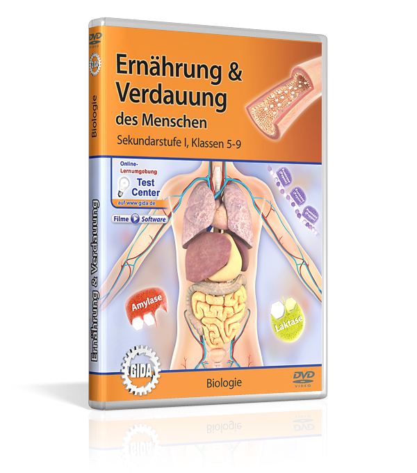 DVD-Cover mit dem Titel 'Ernährung und Verdauung' für Sekundarstufe 1. Es zeigt eine Illustration zum menschlichen Verdauungssystem.