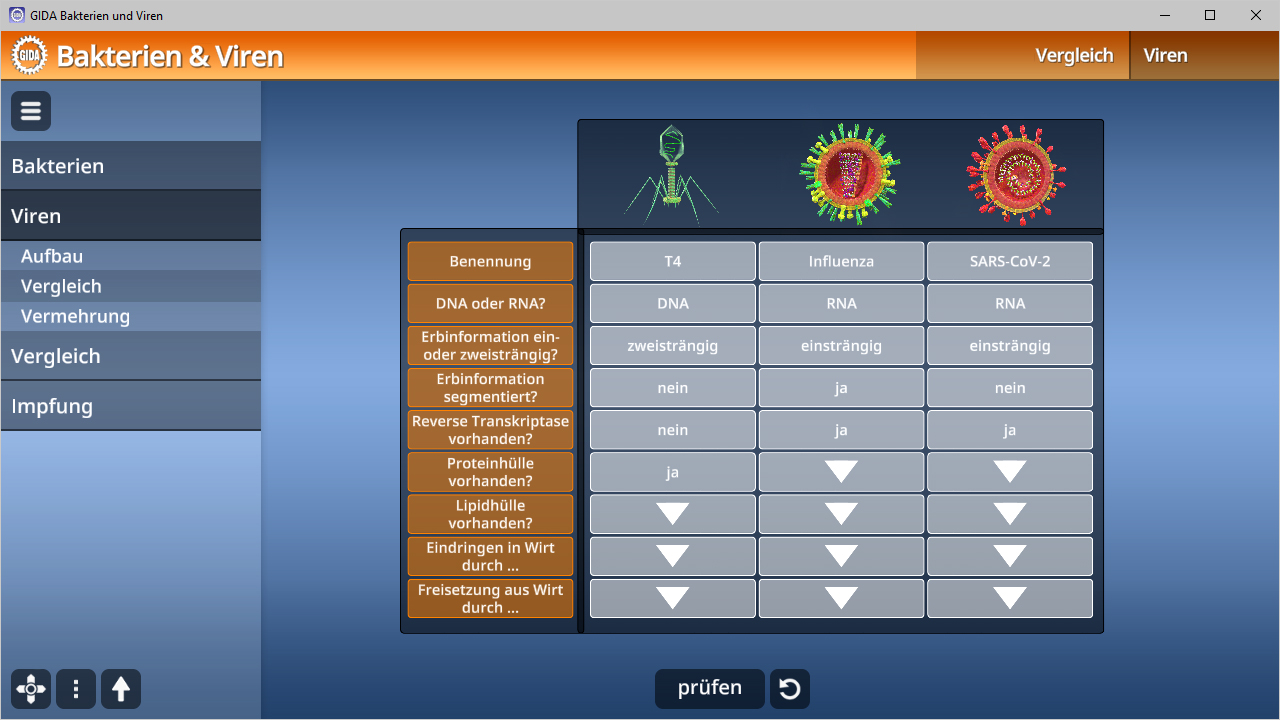 Tabelle zum Vergleich von Bakterien und Viren mit Informationen zu DNA/RNA, Erbinformation, Virusübertragung und Impfungen.