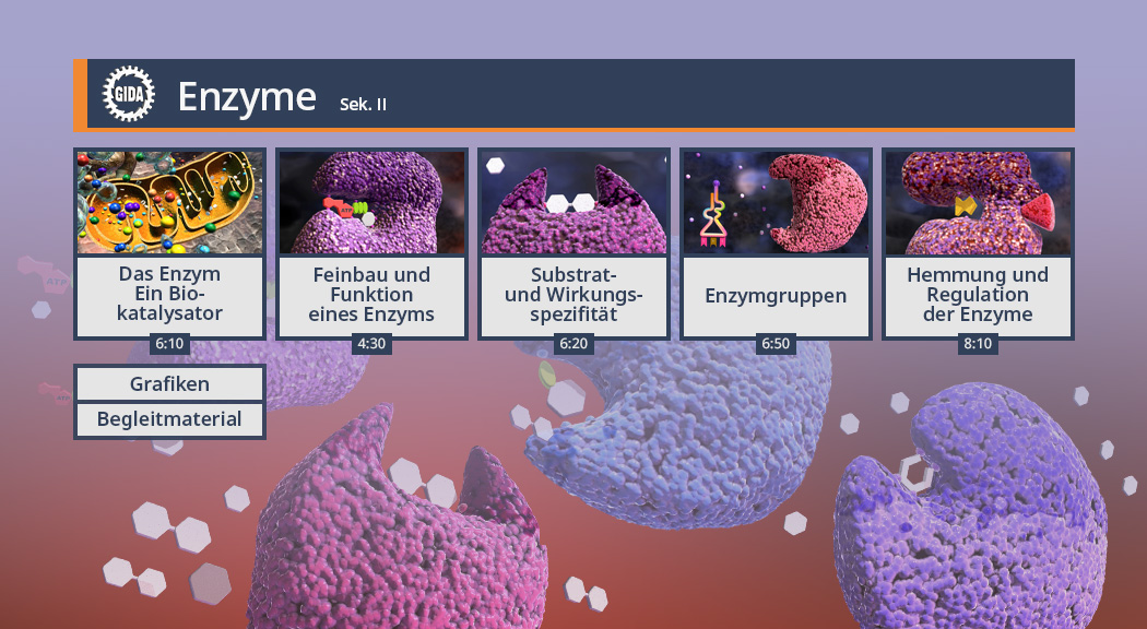 Menü des Films "Enzyme".