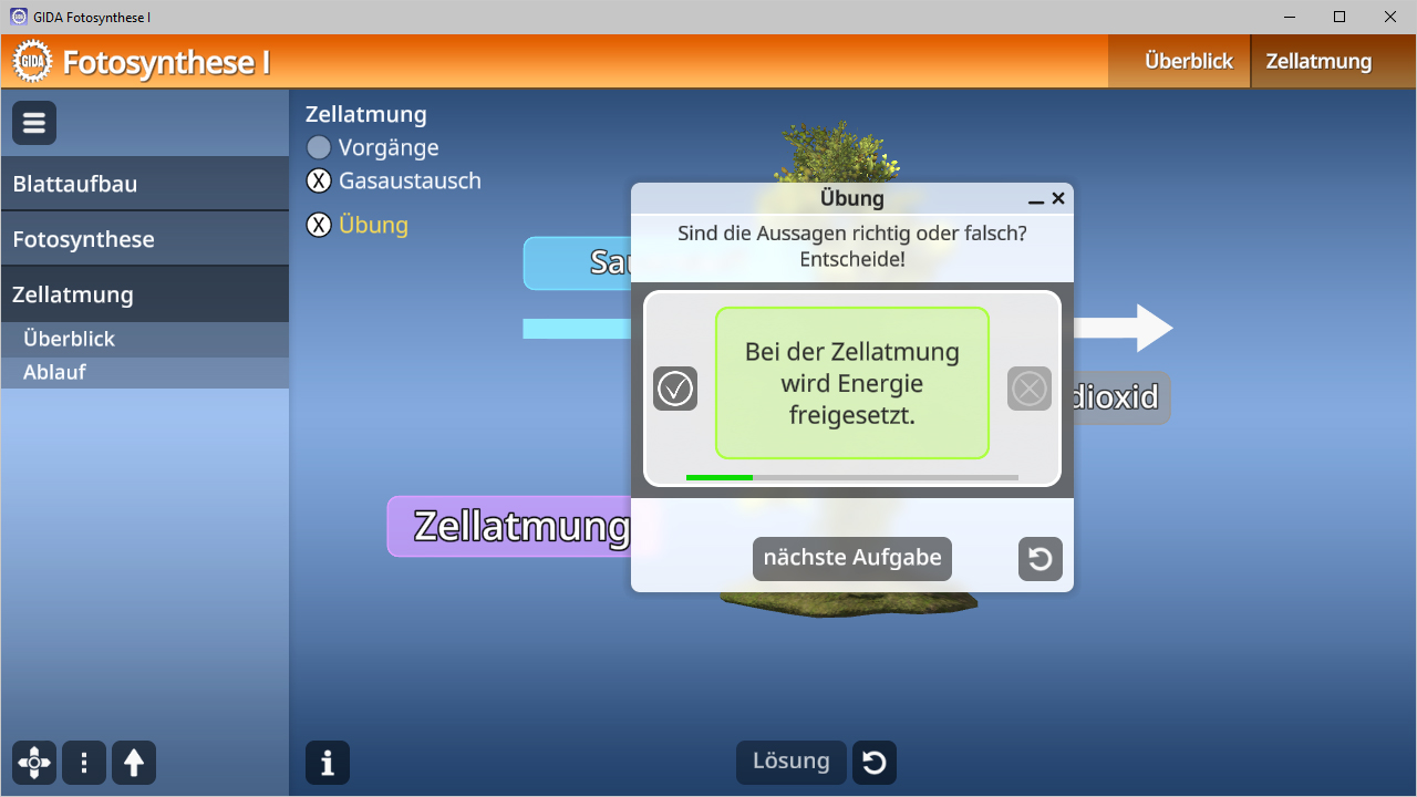 Interaktive Übung zur Zellatmung mit einer Frage zu Energiefreisetzung.