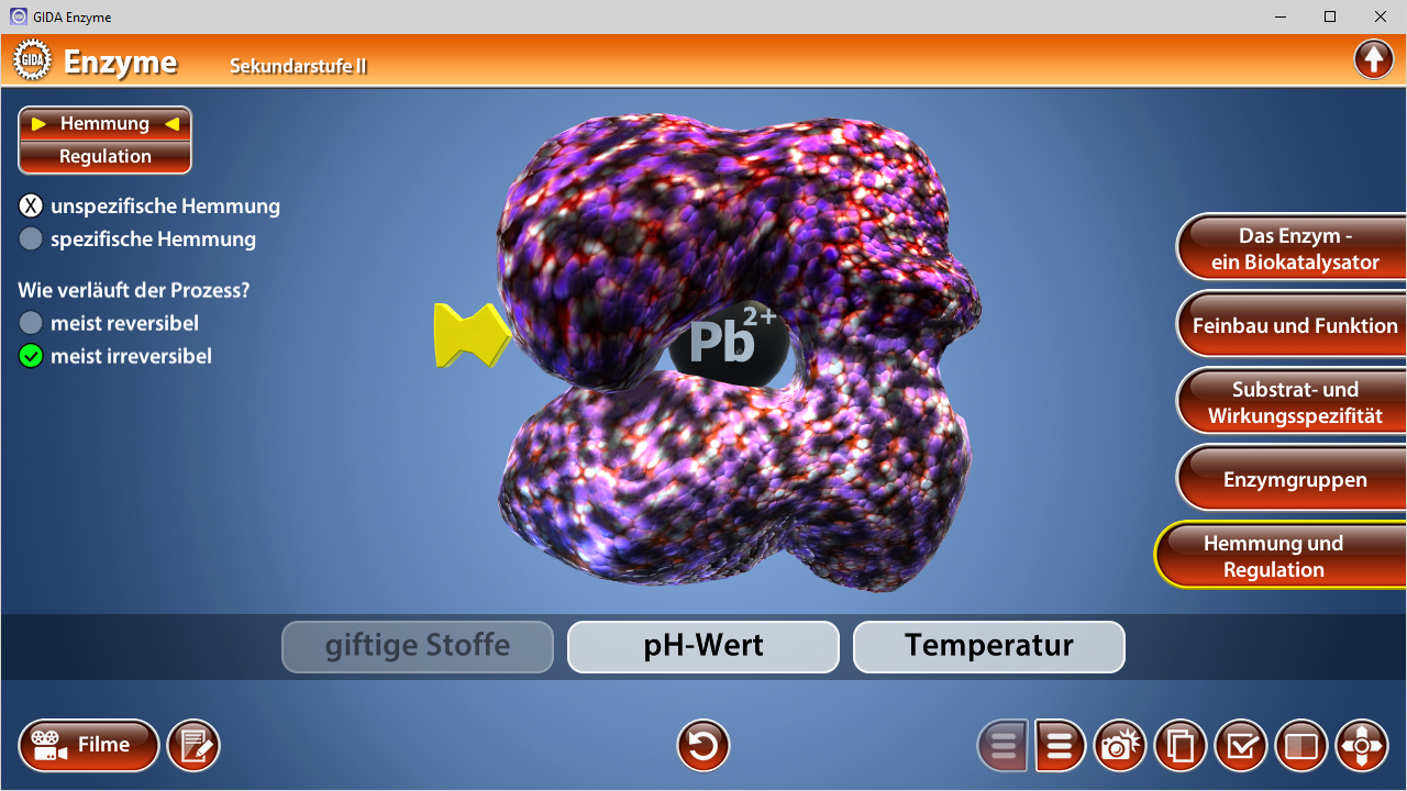 3D-Darstellung eines Enzyms mit Fokus auf Hemmung und Regulation, zeigt spezifische und unspezifische Hemmung.