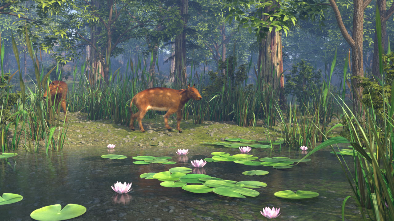 Zwei Rehe stehen am Ufer eines ruhigen Teichs, umgeben von hohen Gräsern und Seerosen.