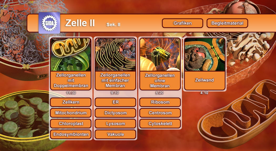 Infografik über Zellstrukturen mit Beschreibungen von Zellorganellen und deren Funktionen.