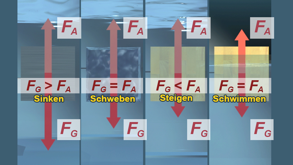 Diagramm, das die Kräfte beim Sinken, Schweben, Steigen und Schwimmen in Flüssigkeiten veranschaulicht, mit Beschriftungen für Auftrieb und Gewicht.