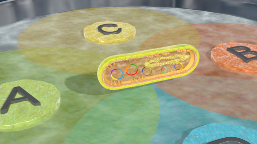 3D-Darstellung einer Zelle mit farbigen Bereichen A, B und C, die verschiedene Zellstrukturen darstellen.
