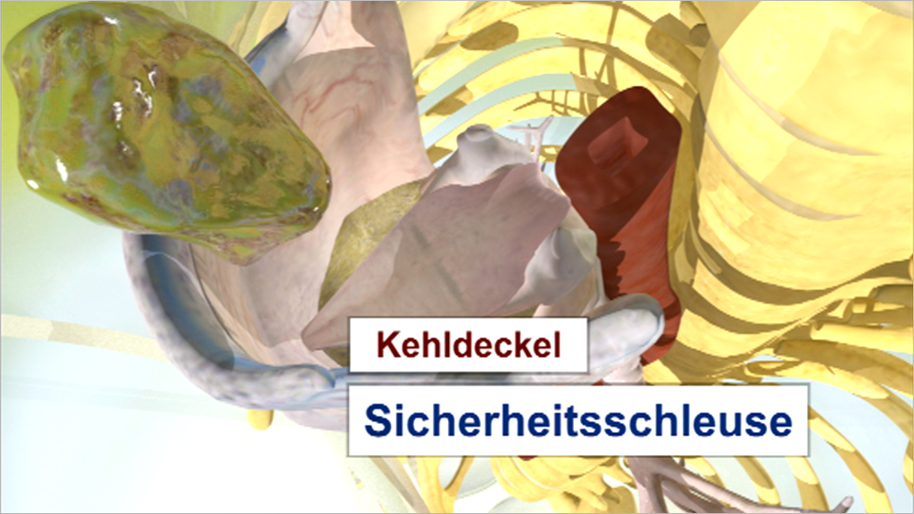 3D-Darstellung des Kehldeckels mit dem Text 'Kehldeckel' und 'Sicherheitschleuse' in großer Schrift.