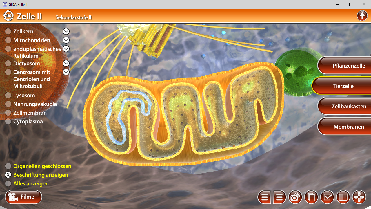 Interaktive Darstellung einer Zelle mit verschiedenen Organellen wie Mitochondrien, Lysosomen und dem endoplasmatischen Retikulum.