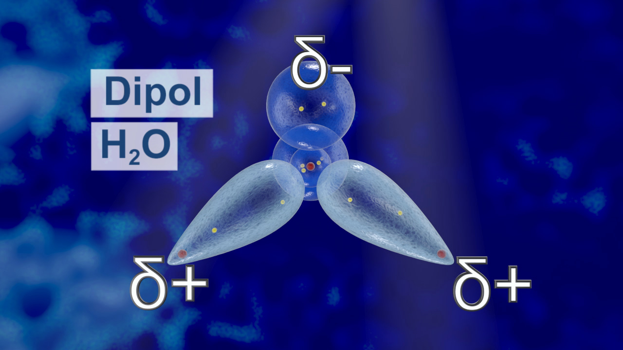 Darstellung eines Wassermoleküls (H2O) mit Dipolcharakter, zeigt positive und negative Teilladungen.