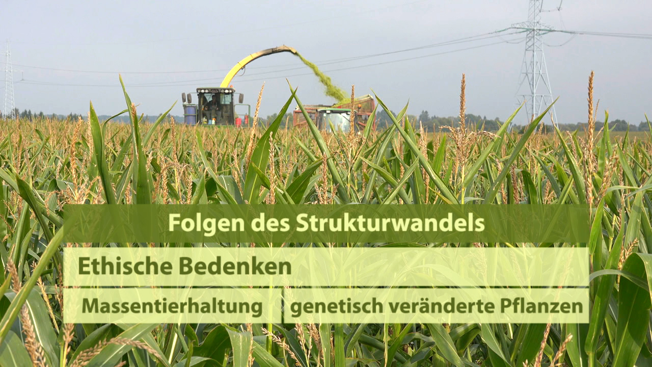 Ein Feld mit Maispflanzen im Vordergrund, im Hintergrund ein Erntemaschine, die Mais erntet. Text: 'Folgen des Strukturwandels - Ethische Bedenken - Massentierhaltung - genetisch veränderte Pflanzen'