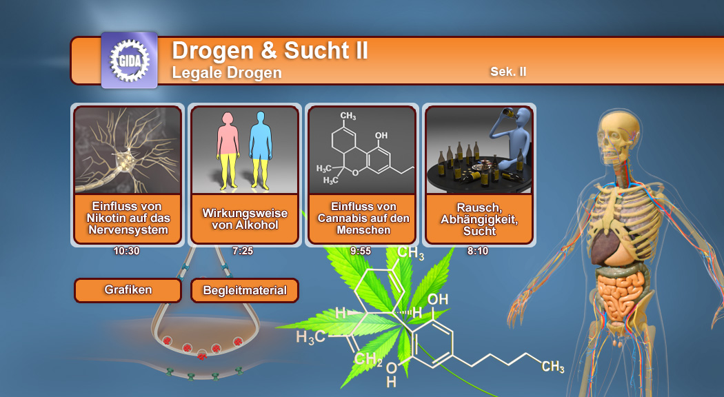 Infografik über Drogen und Sucht mit Fokus auf legale Drogen, einschließlich Nikotin, Alkohol und Cannabis. Zeigt deren Einfluss auf das Nervensystem und Abhängigkeit.
