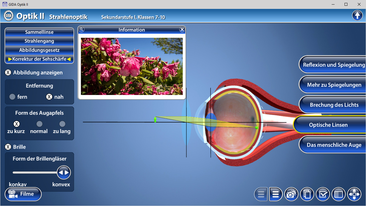 Interaktive Software zur Strahlenoptik mit Menüs für Strahlen, Abbildungs- und Korrekturgesetze, sowie Informationen über optische Linsen.